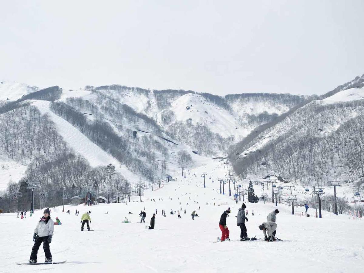 白馬パークホテル 白馬村 エクステリア 写真